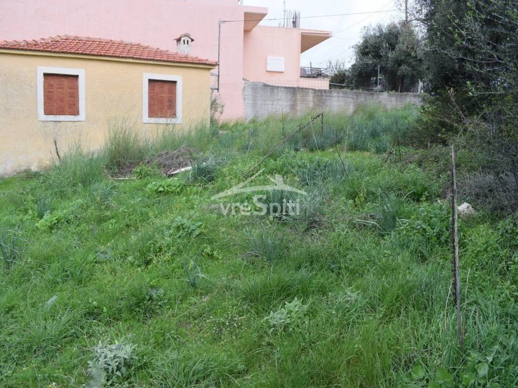 ΑΠΟΨΗ ΟΙΚΟΠΕΔΟΥ