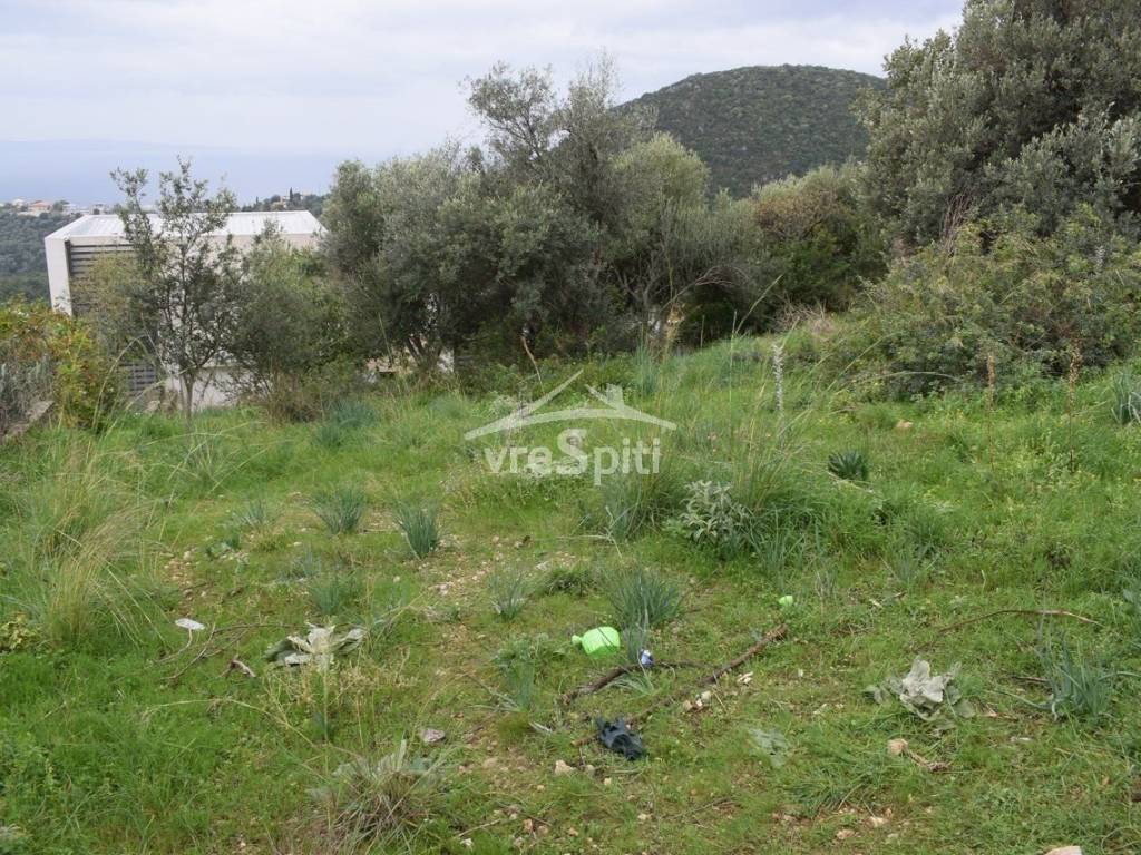 ΑΠΟΨΗ ΟΙΚΟΠΕΔΟΥ