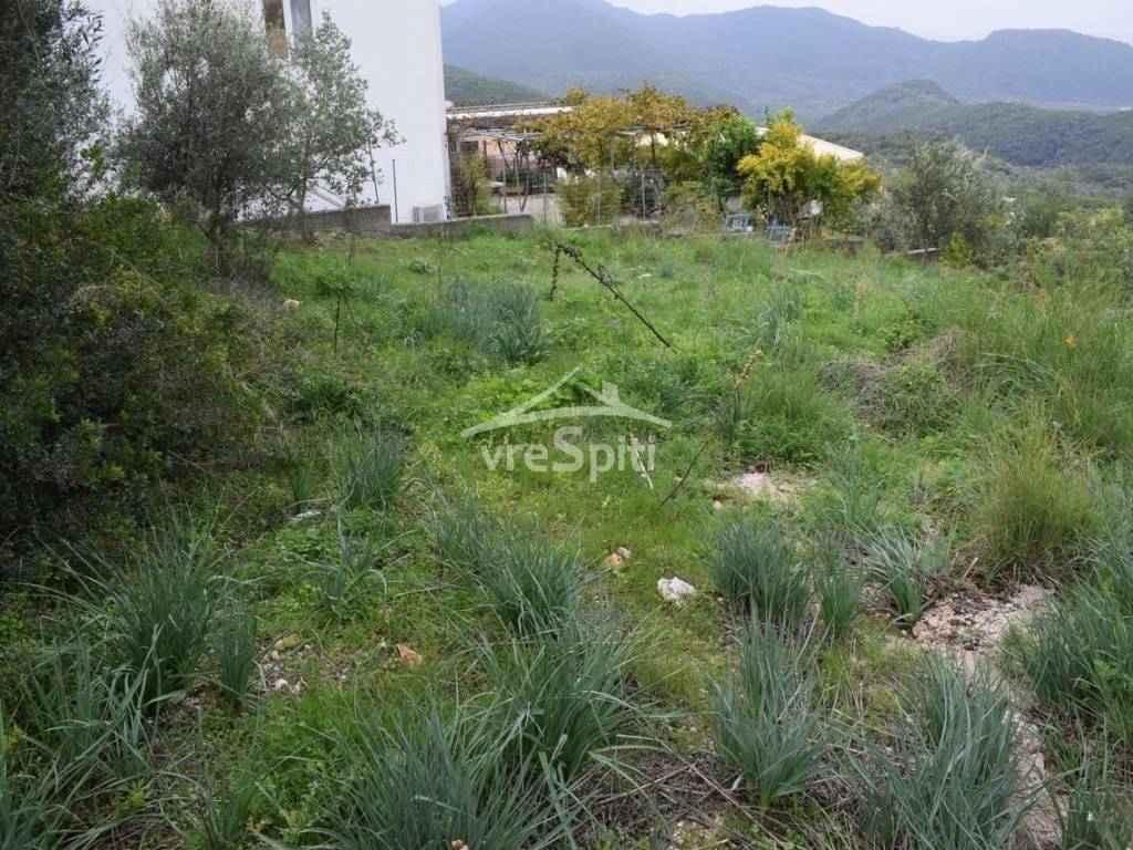 ΑΠΟΨΗ ΟΙΚΟΠΕΔΟΥ