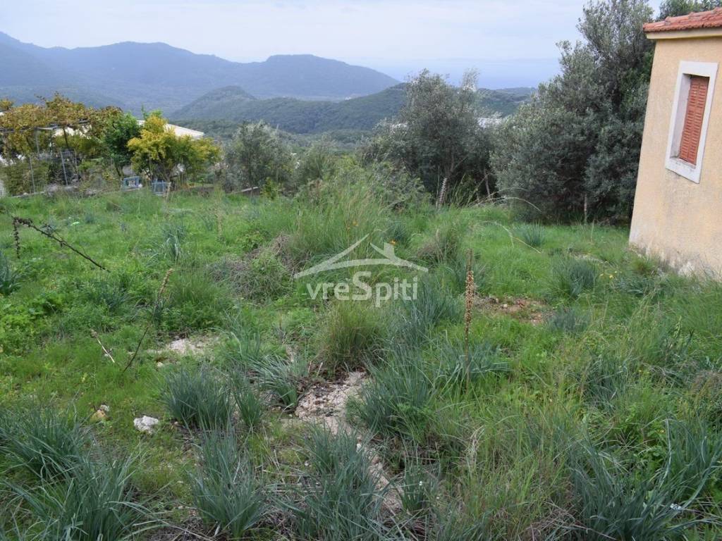 ΑΠΟΨΗ ΟΙΚΟΠΕΔΟΥ