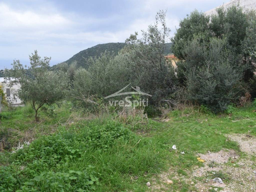 ΑΠΟΨΗ ΟΙΚΟΠΕΔΟΥ