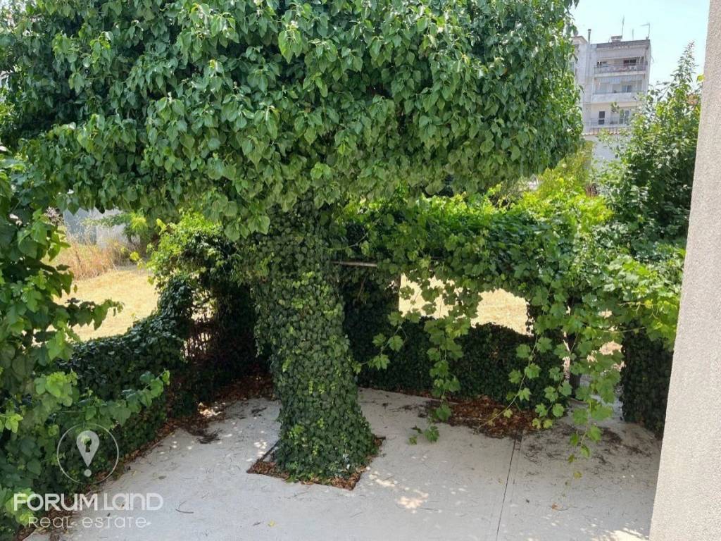 Forumland Real Estate, Κήπος