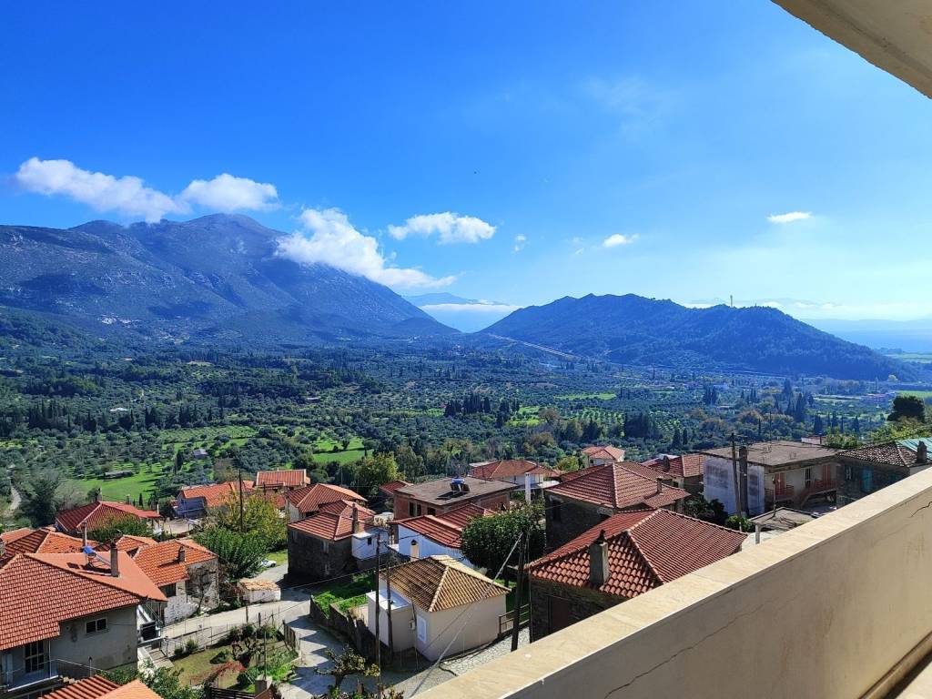 DIOROPHE MONOKATOIKIA 341 T.M.