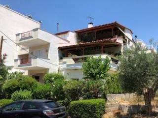 Apartment - Grekodom 63313|985531