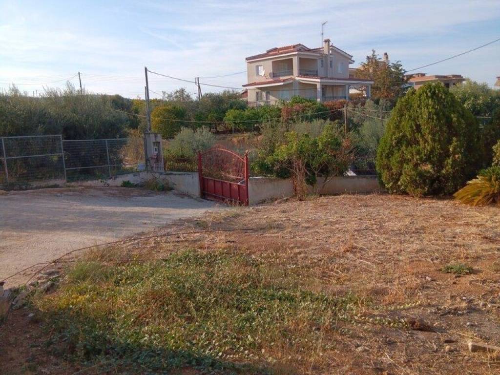 Maisonette - Grekodom 63239|983905