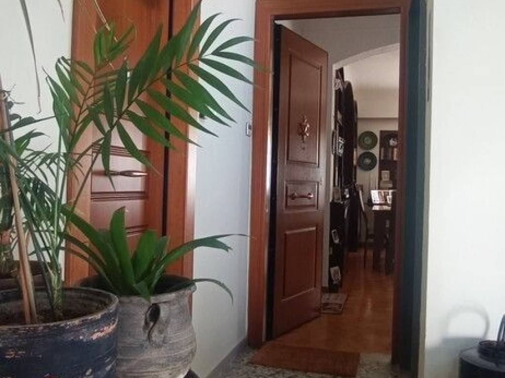 Apartment - Grekodom 63549|992064