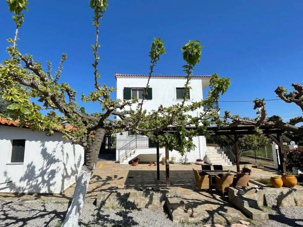 Detached - Grekodom 63773|998901