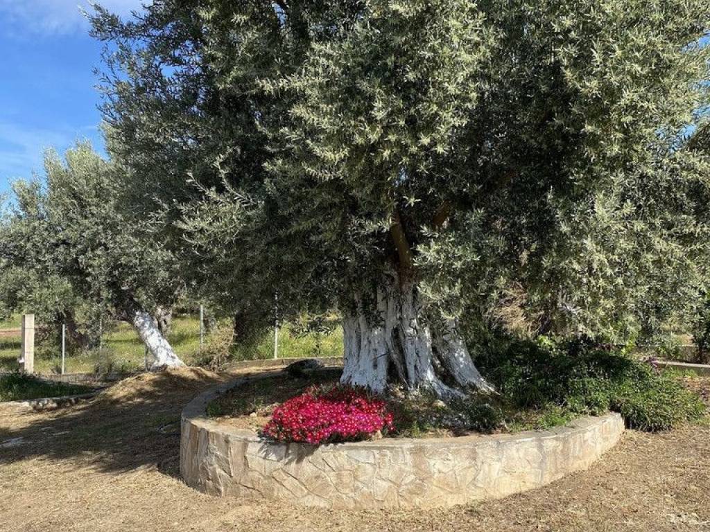 Detached - Grekodom 63773|998908