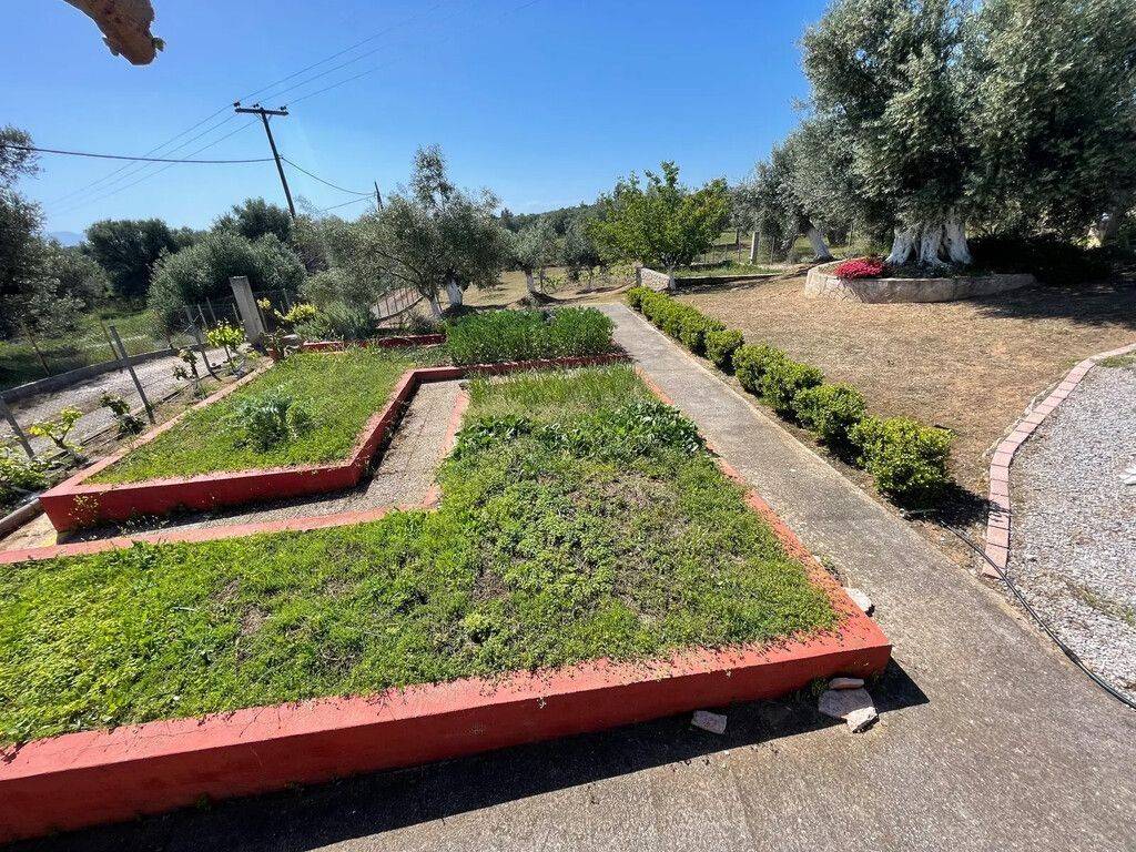 Detached - Grekodom 63773|998910