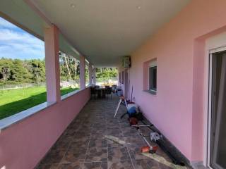 Detached - Grekodom 64742|1026011