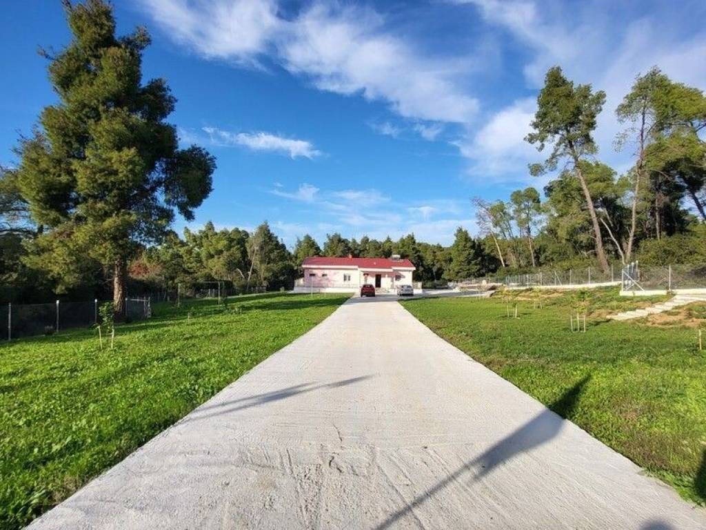 Detached - Grekodom 64742|1026021