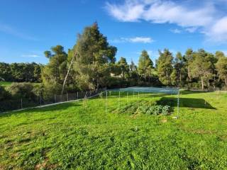 Detached - Grekodom 64742|1026012