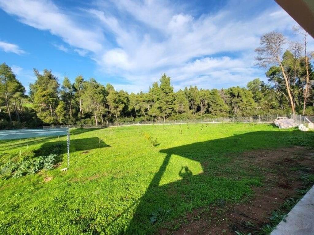 Detached - Grekodom 64742|1026013