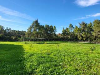 Detached - Grekodom 64742|1026015