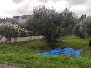 Plot - Grekodom 64183|1013913