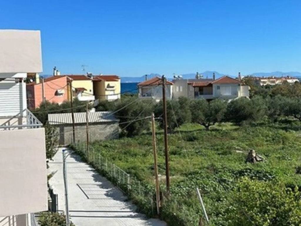 Apartment - Grekodom 63967|1007147