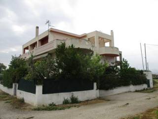 Apartment - Grekodom 63811|1000013