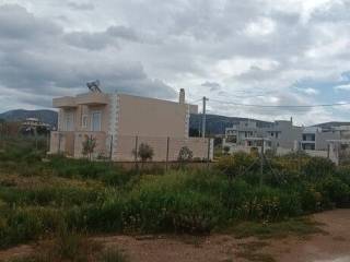 Plot - Grekodom 62906|973063