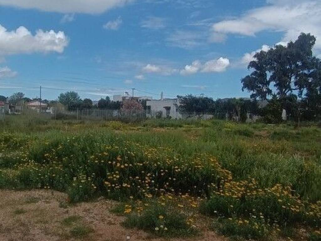 Plot - Grekodom 62906|973064