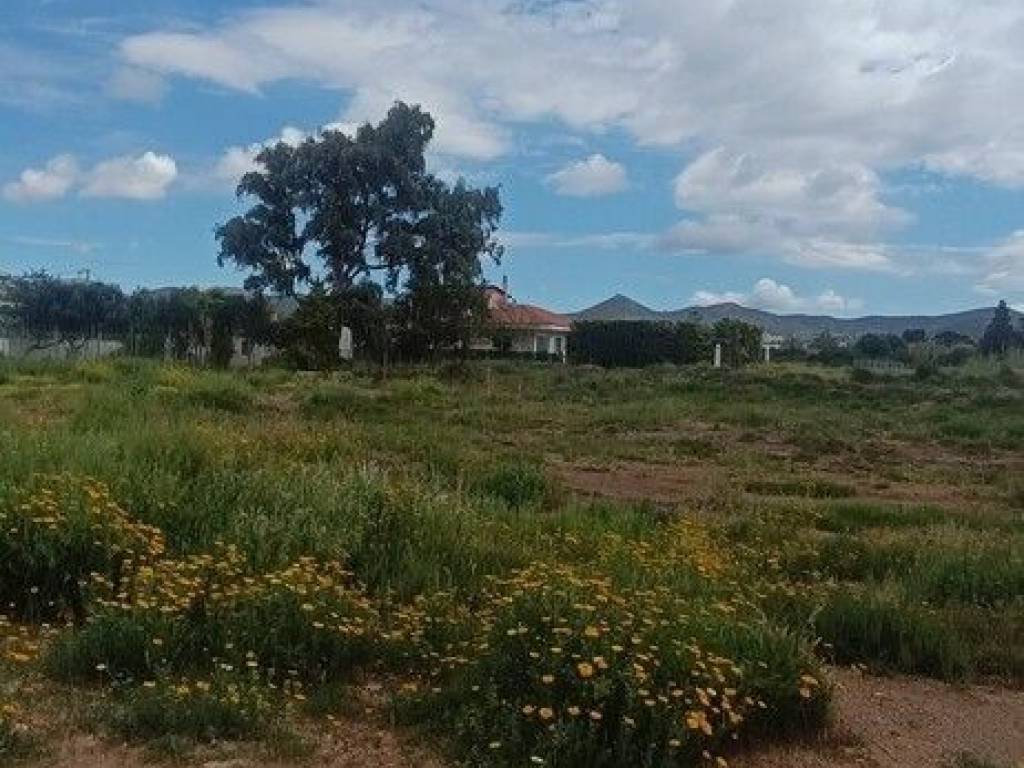 Plot - Grekodom 62906|973065