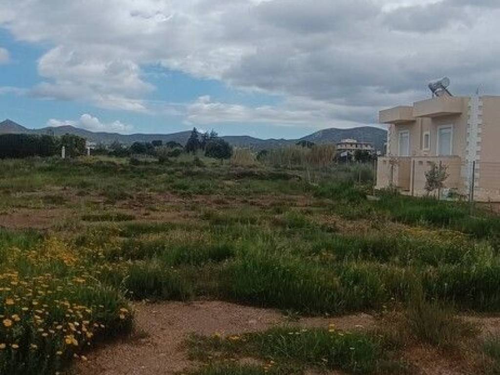 Plot - Grekodom 62906|973066