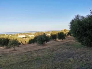 Plot - Grekodom 62876|972049