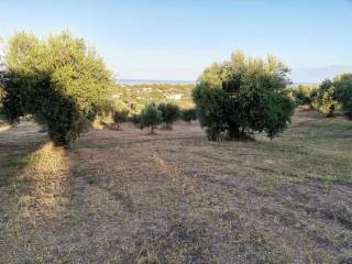 Plot - Grekodom 62876|972050