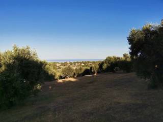 Plot - Grekodom 62876|972051