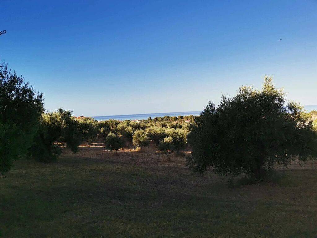 Plot - Grekodom 62876|972052