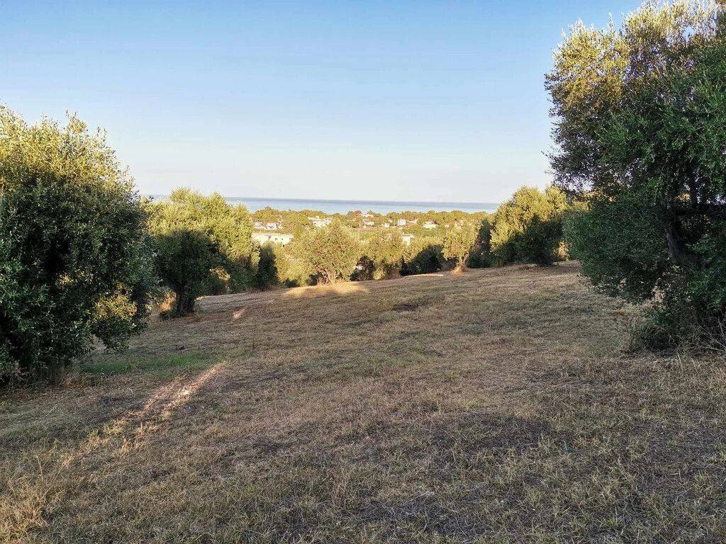 Plot - Grekodom 62876|972054