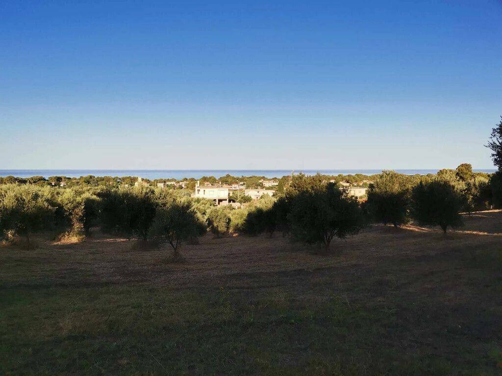 Plot - Grekodom 62876|972055