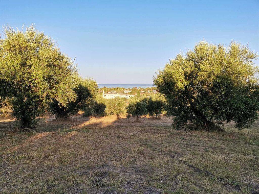 Plot - Grekodom 62876|972057