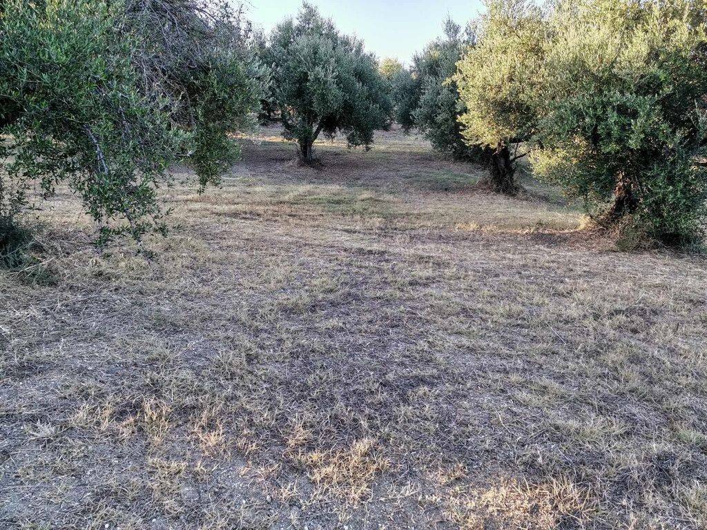 Plot - Grekodom 62876|972058