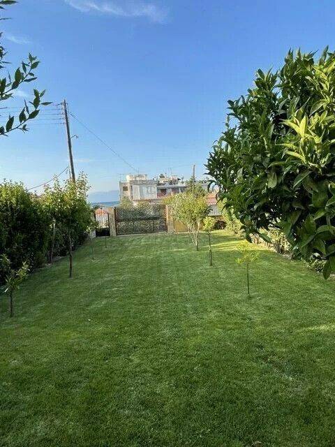 Detached - Grekodom 62618|964122