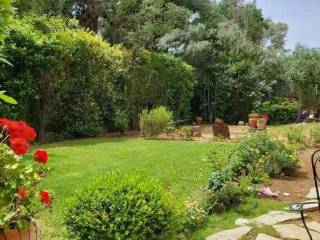 Detached - Grekodom 62325|954432