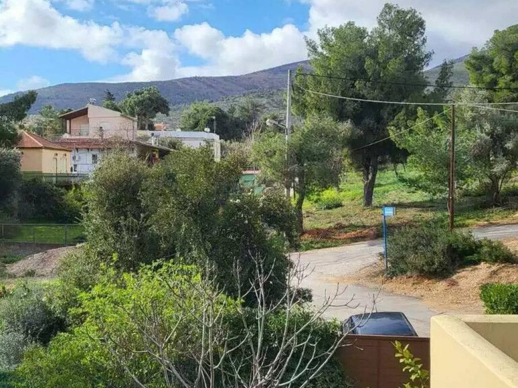 Detached - Grekodom 62325|954443