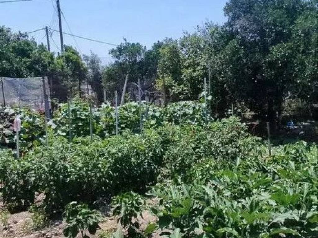 Detached - Grekodom 62139|949110