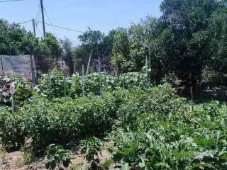 Detached - Grekodom 62139|949110