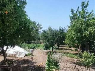 Detached - Grekodom 62139|949111