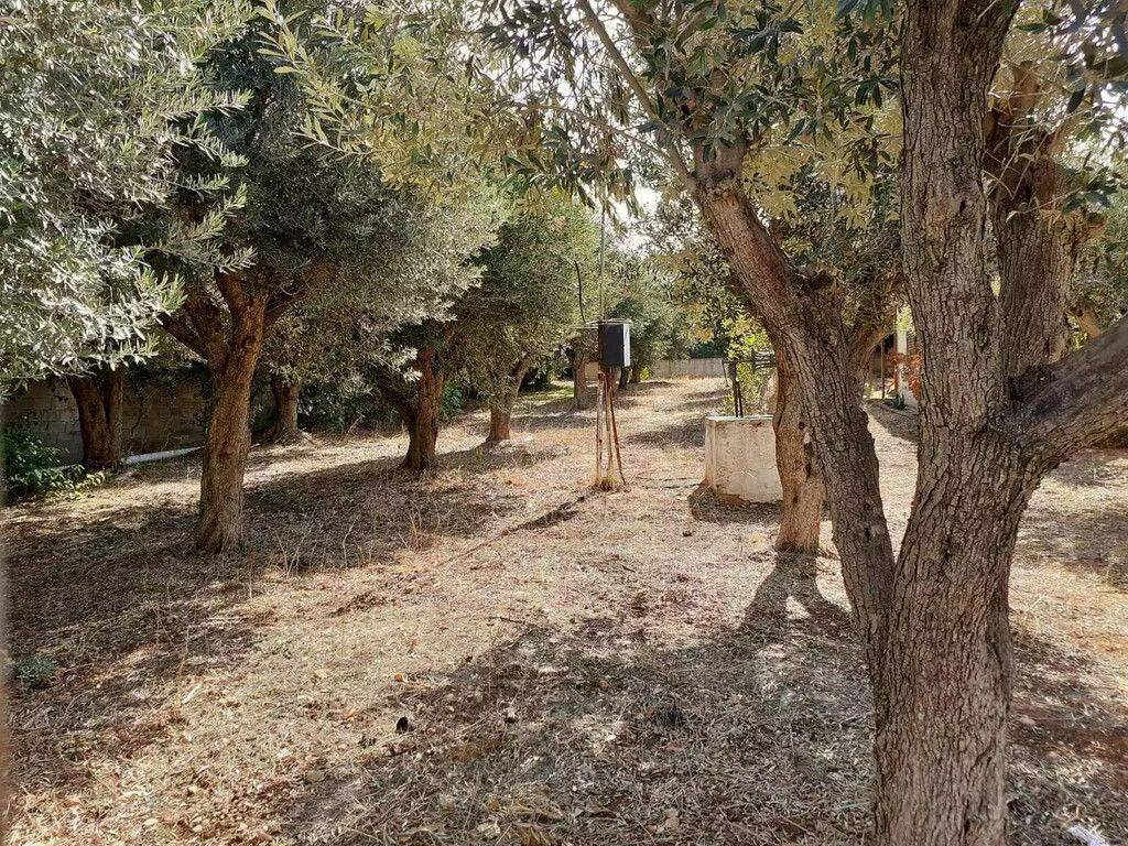 Plot - Grekodom 62005|944042