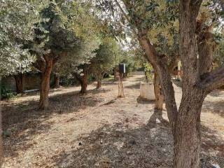 Plot - Grekodom 62005|944042