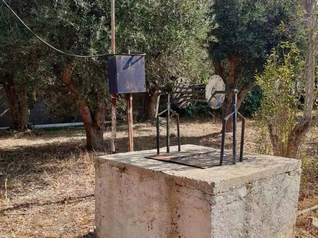 Plot - Grekodom 62005|944043