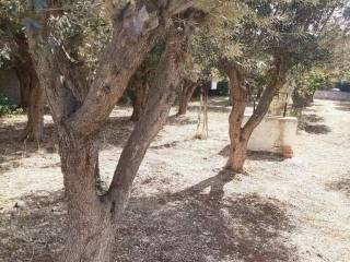 Plot - Grekodom 62005|944045