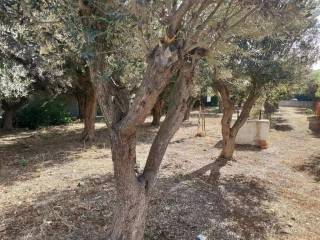 Plot - Grekodom 62005|944046