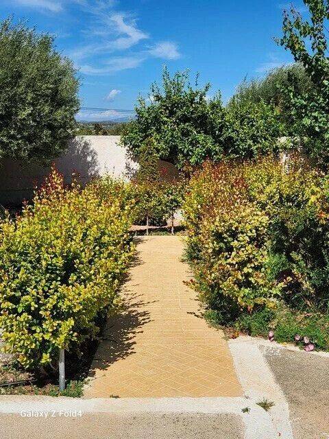 Detached - Grekodom 61796|935897