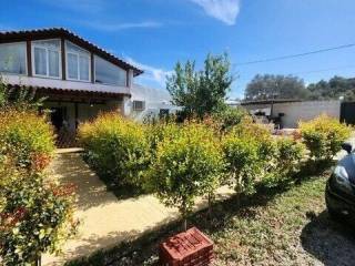 Detached - Grekodom 61796|935898