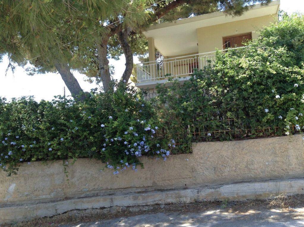 Detached - Grekodom 61660|932621