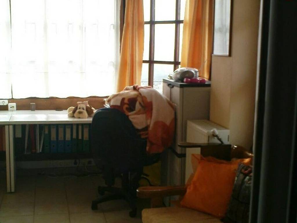 Detached - Grekodom 60133|883793