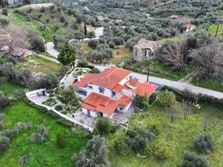 Detached - Grekodom 59811|876545