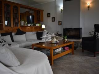 ΑΠΟΨΗ ΚΥΡΙΑΣ ΚΑΤΟΙΚΙΑΣ